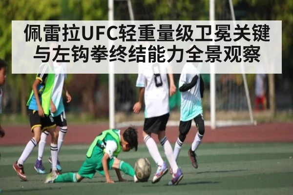 佩雷拉UFC轻重量级卫冕关键与左钩拳终结能力全景观察
